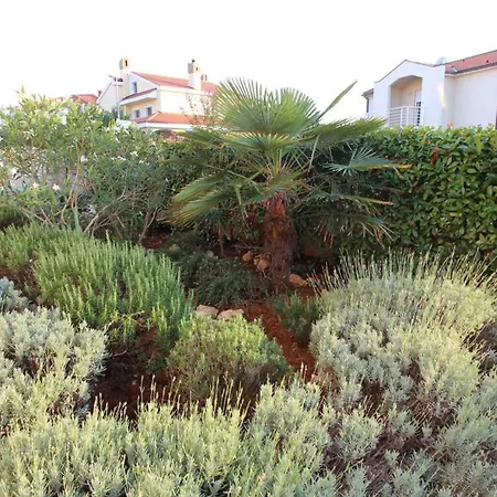 In - Insel Krk 53801 *