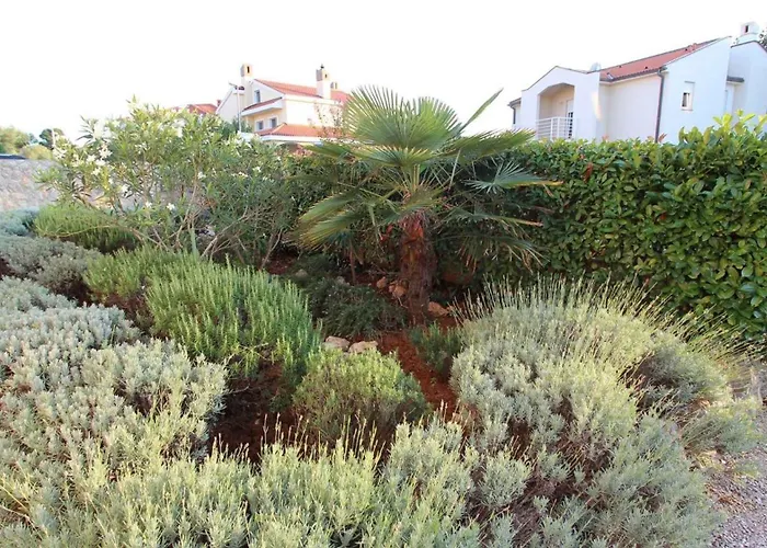 In - Insel Krk 53801 *